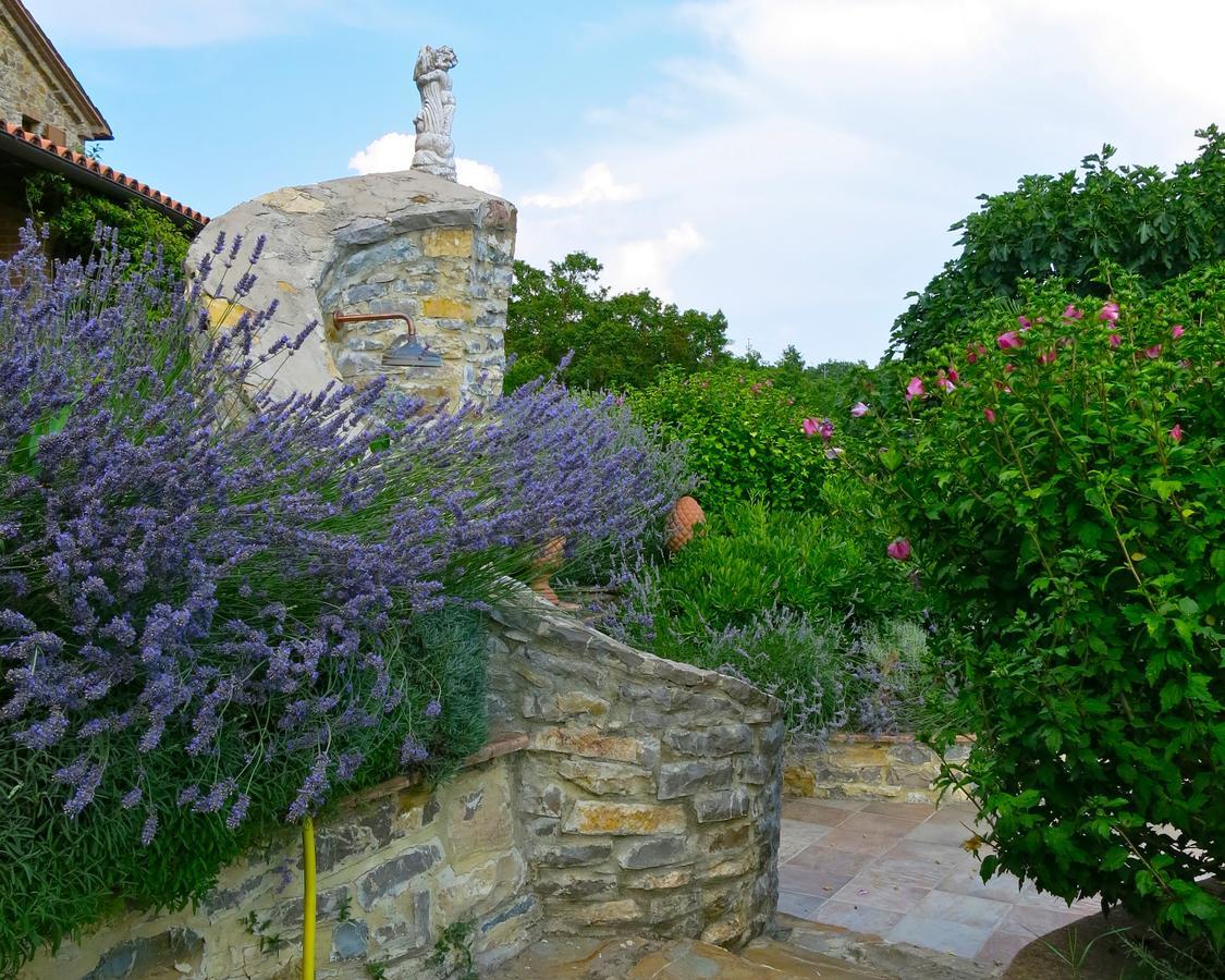 Fonte Magia Bed and Breakfast Castel de' Fiori Buitenkant foto