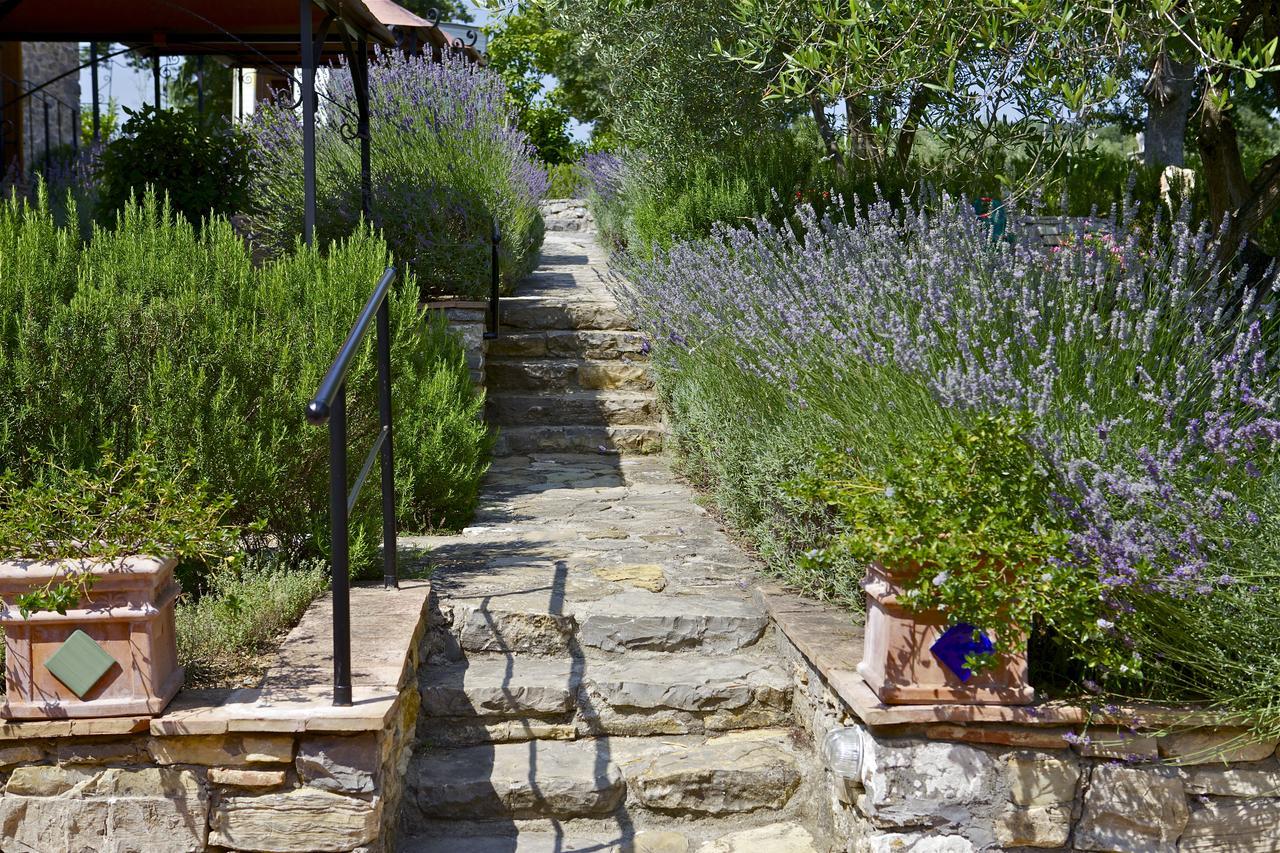 Fonte Magia Bed and Breakfast Castel de' Fiori Buitenkant foto