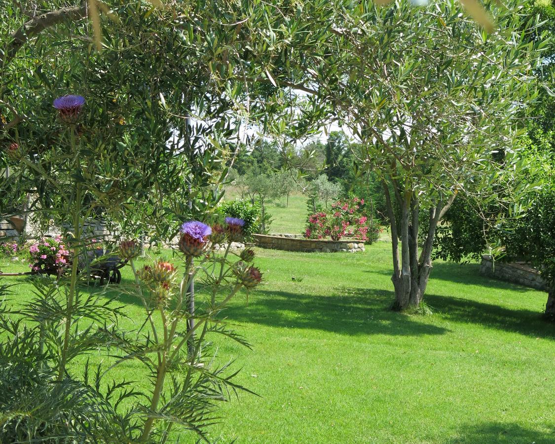 Fonte Magia Bed and Breakfast Castel de' Fiori Buitenkant foto